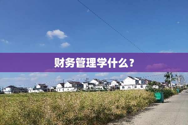 财务管理学什么？