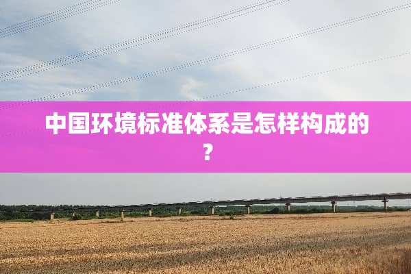 中国环境标准体系是怎样构成的？