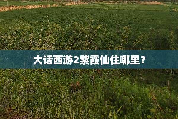 大话西游2紫霞仙住哪里？