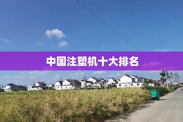 中国注塑机十大排名