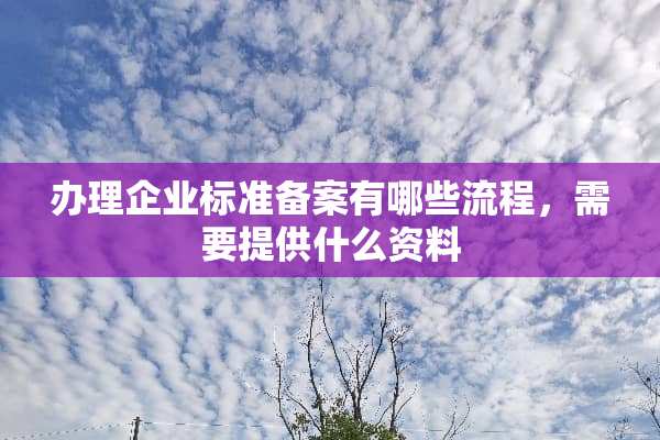 办理企业标准备案有哪些流程，需要提供什么资料