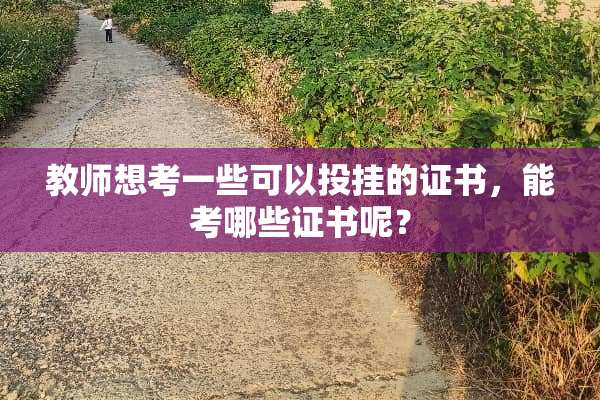 教师想考一些可以投挂的证书，能考哪些证书呢？