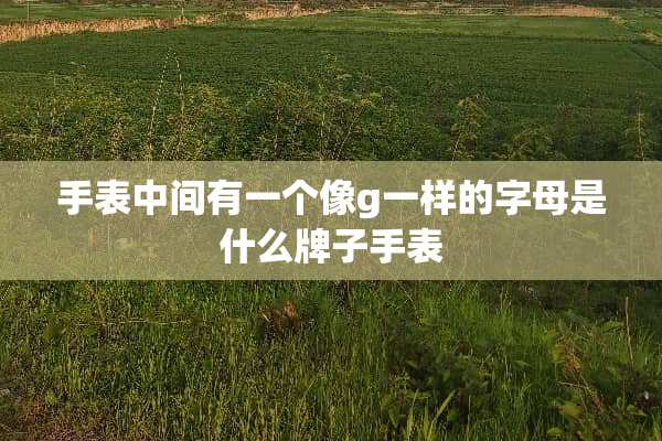 手表中间有一个像g一样的字母是什么牌子手表