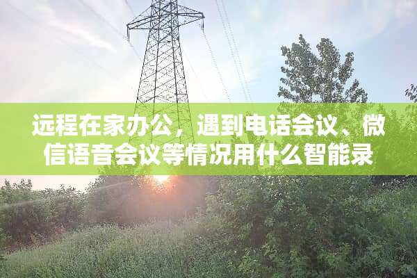 远程在家办公，遇到电话会议、微信语音会议等情况用什么智能录音笔比较好？
