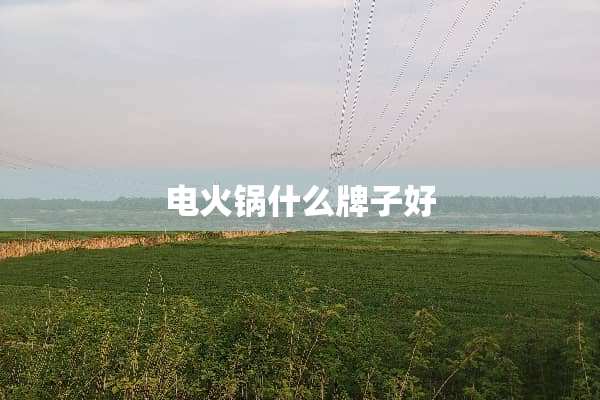 电火锅什么牌子好