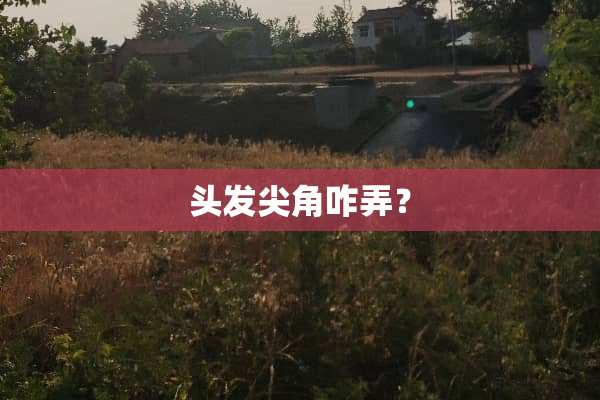 头发尖角咋弄？