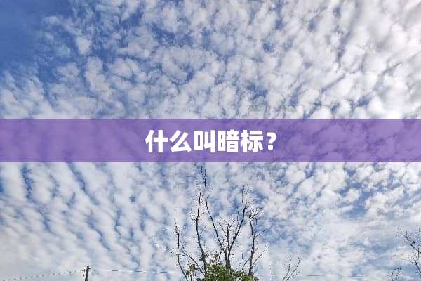什么叫暗标？