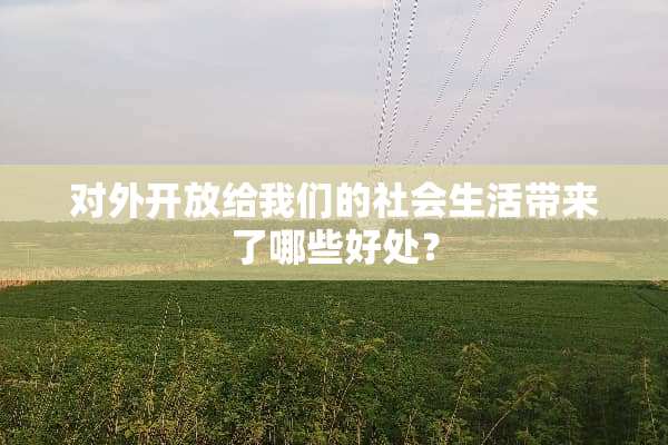 对外开放给我们的社会生活带来了哪些好处？