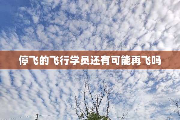 停飞的飞行学员还有可能再飞吗