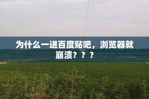 为什么一进百度贴吧，浏览器就崩溃？？？
