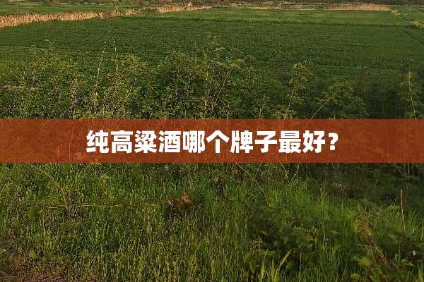 纯高粱酒哪个牌子最好？