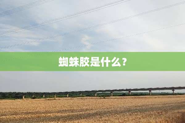 蜘蛛胶是什么？