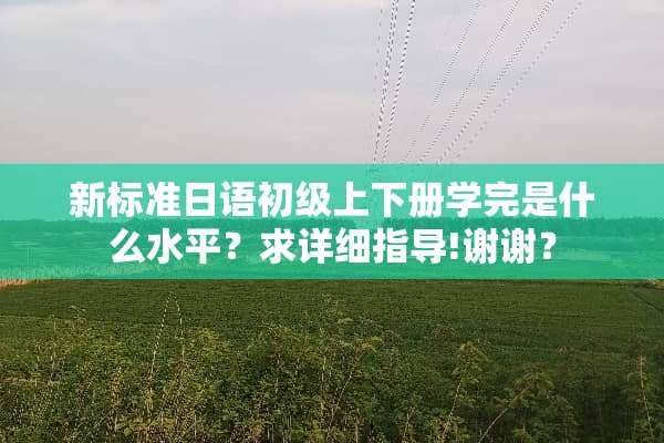 新标准日语初级上下册学完是什么水平？求详细指导!谢谢？