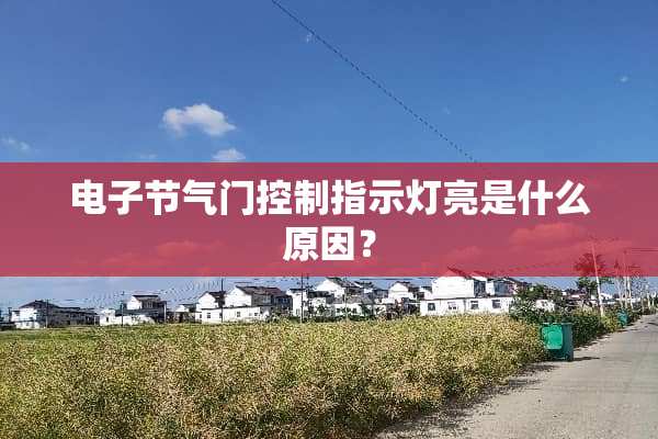 电子节气门控制指示灯亮是什么原因？