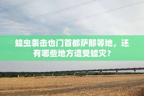 蝗虫袭击也门首都萨那等地，还有哪些地方遭受蝗灾？