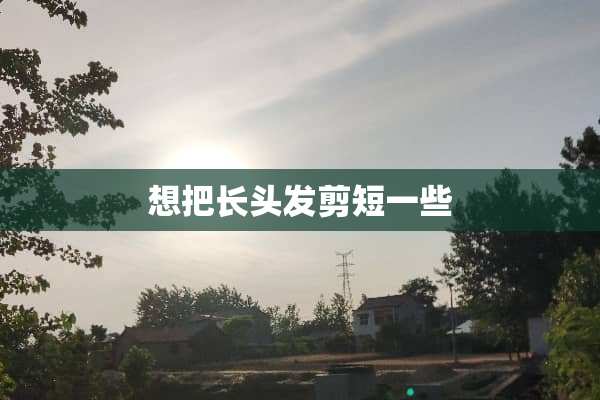 想把长头发剪短一些