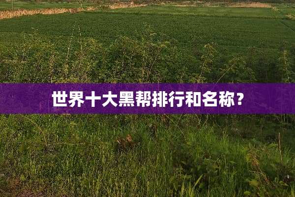 世界十大黑帮排行和名称？