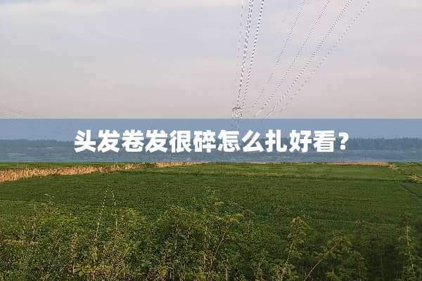 头发卷发很碎怎么扎好看？