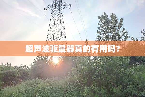 ***驱鼠器真的有用吗？