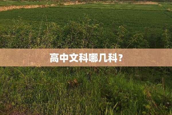 高中文科哪几科？