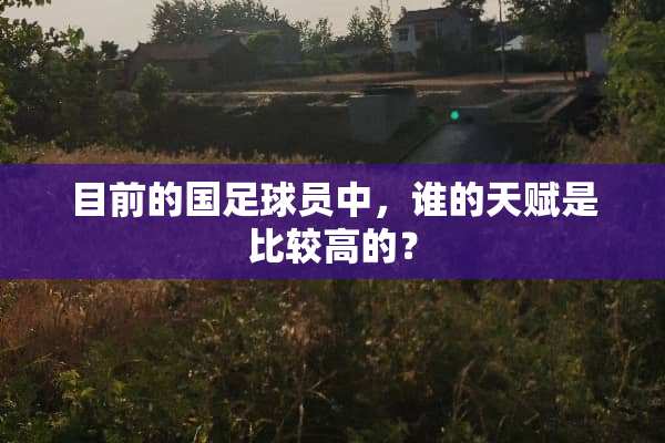 目前的国**员中，谁的天赋是比较高的？
