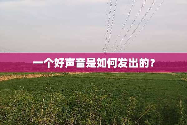 一个好声音是如何发出的？