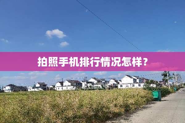 拍照手机排行情况怎样？