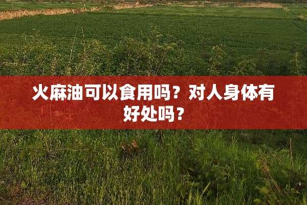 火麻油可以食用吗？对人身体有好处吗？