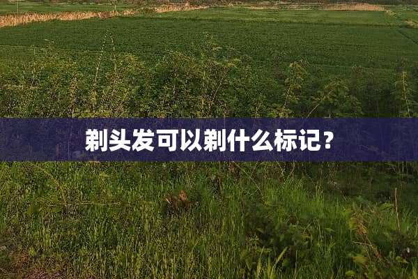 剃头发可以剃什么标记？