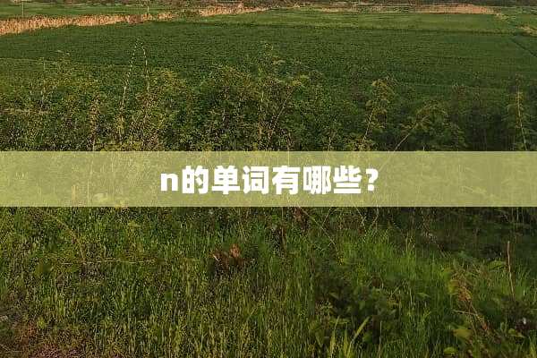 n的单词有哪些？