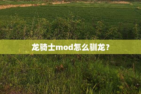 龙骑士mod怎么驯龙？