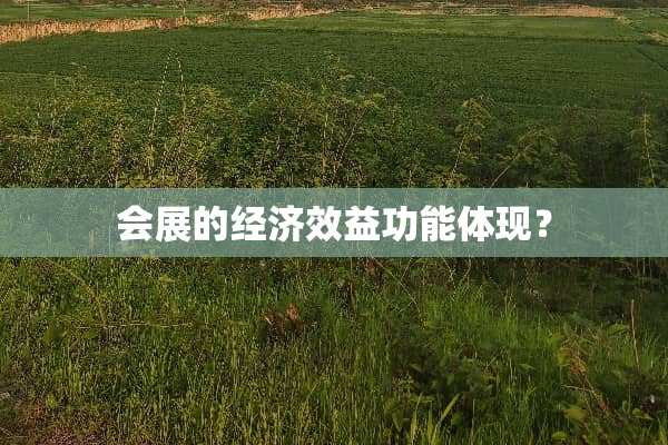 会展的经济效益功能体现？