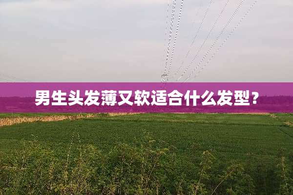 男生头发薄又软适合什么发型？