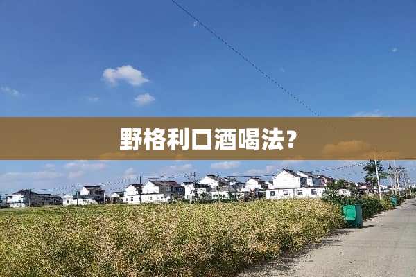 野格利口酒喝法？