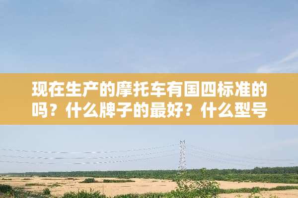 现在生产的摩托车有国四标准的吗？什么牌子的最好？什么型号？