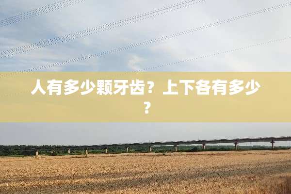 人有多少颗牙齿？上下各有多少？