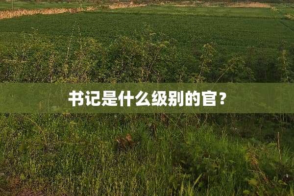 **是什么级别的官？