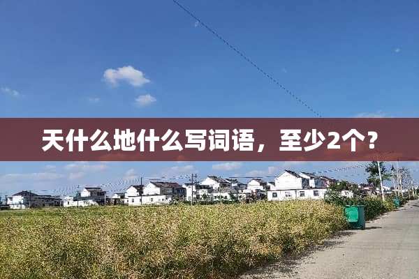 天什么地什么写词语，至少2个？