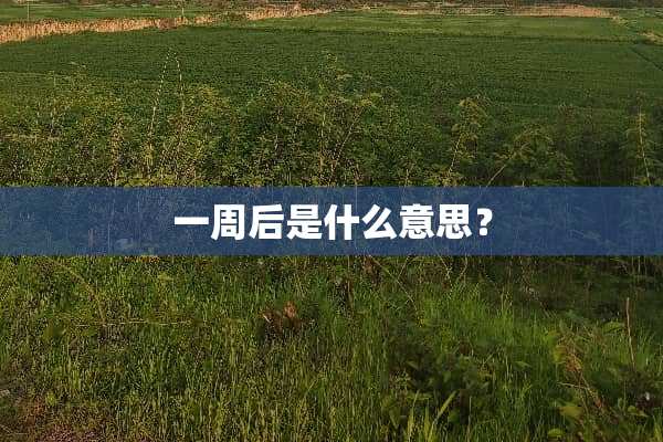 一周后是什么意思？