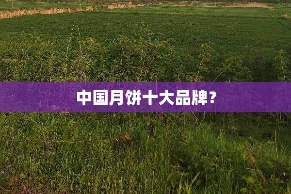 中国月饼十大品牌？