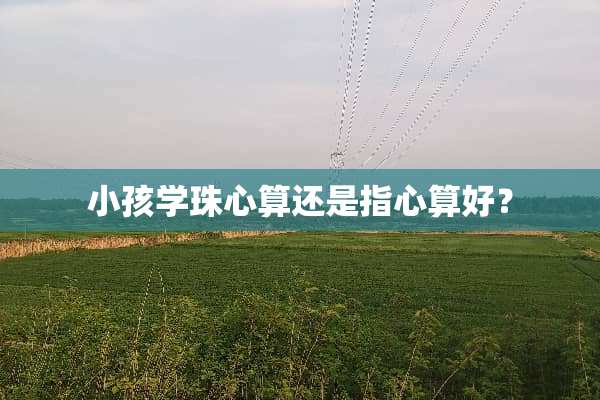 小孩学珠心算还是指心算好？