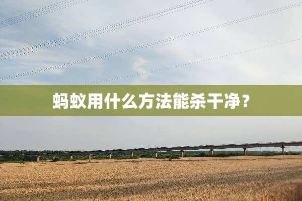 蚂蚁用什么方法能杀干净？