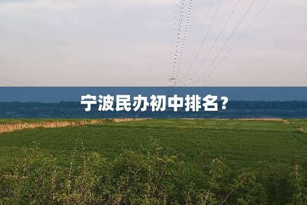 宁波民办初中排名？