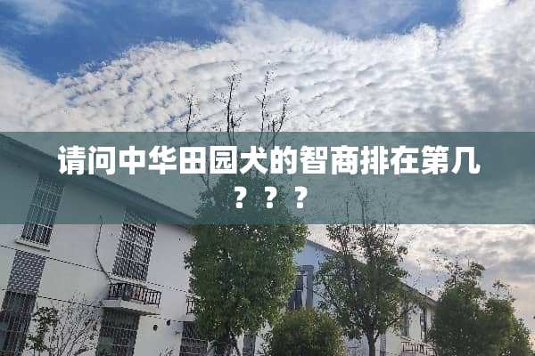 请问中华田园犬的智商排在第几？？？