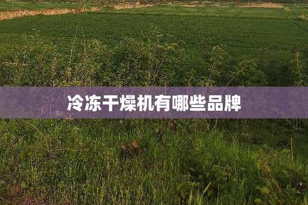 冷冻干燥机有哪些品牌