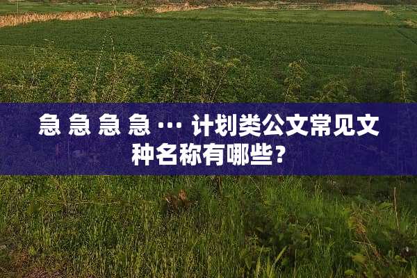 急 急 急 急 ··· 计划类公文常见文种名称有哪些？