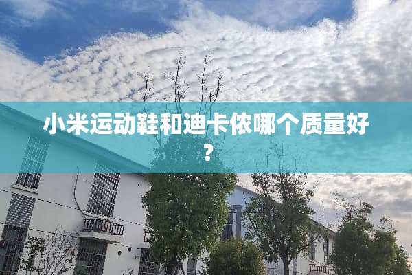 小米运动鞋和迪卡侬哪个质量好？