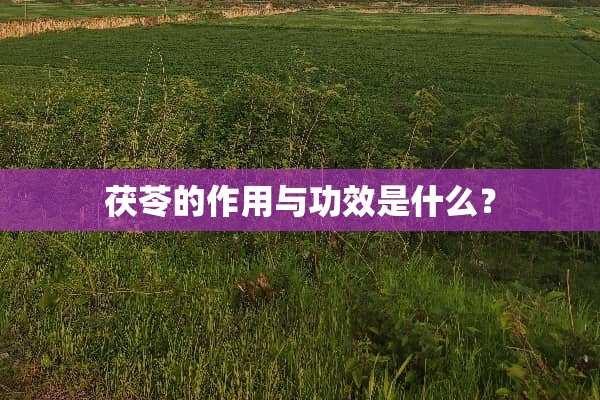 茯苓的作用与功效是什么？