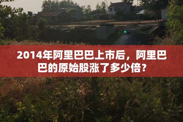 2014年阿里巴巴上市后，阿里巴巴的原始股涨了多少倍？