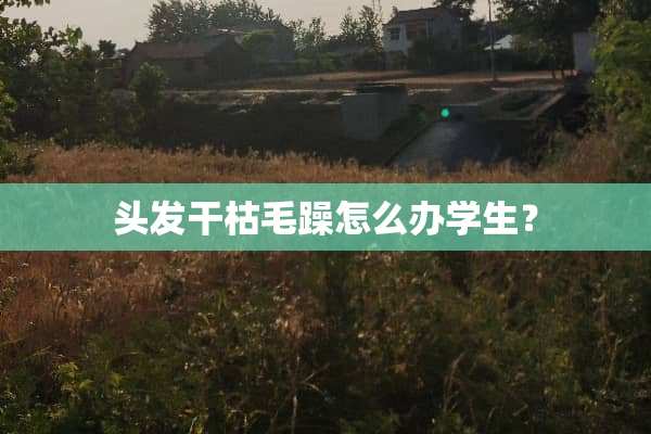 头发干枯毛躁怎么办学生？